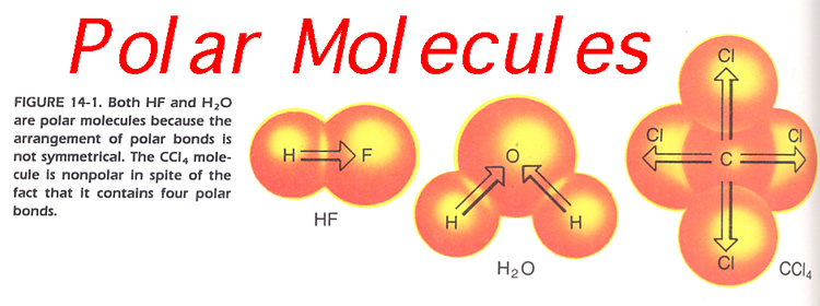 Why Are Water Molecules Polar 50