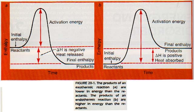 can entropy be negative