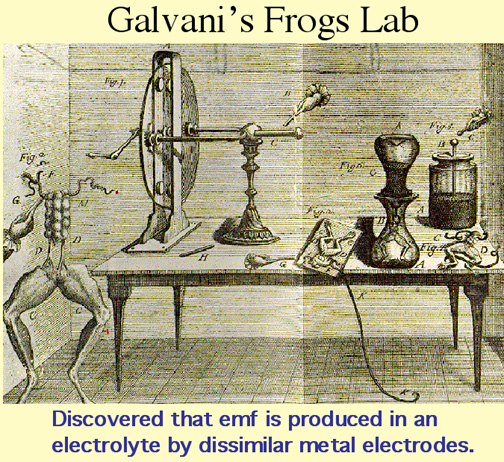 Galvani Experiment